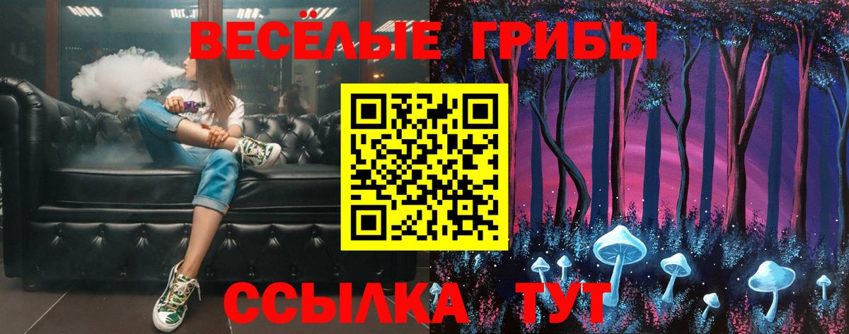 Псилоцибиновые грибы мицелий  Вход с VPN  Иркутск 